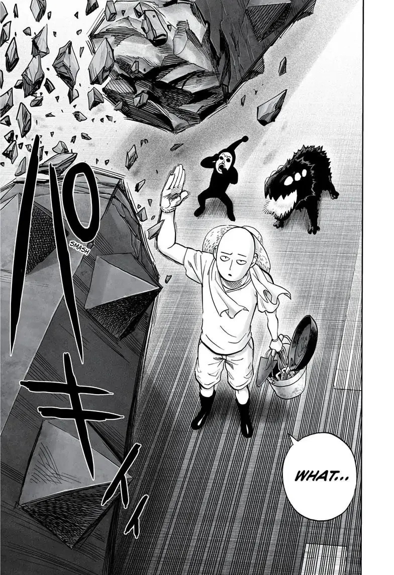 One Punch Man, chapter 170, page 20