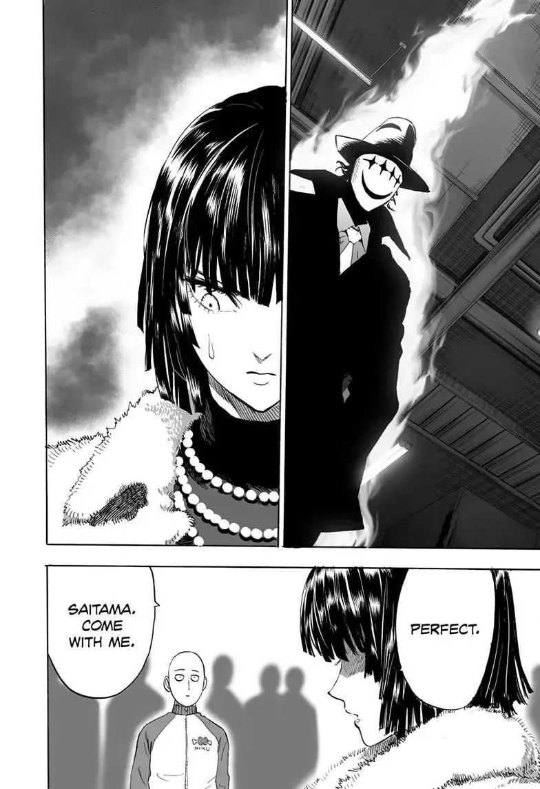 One Punch Man, chapter 173, page 13