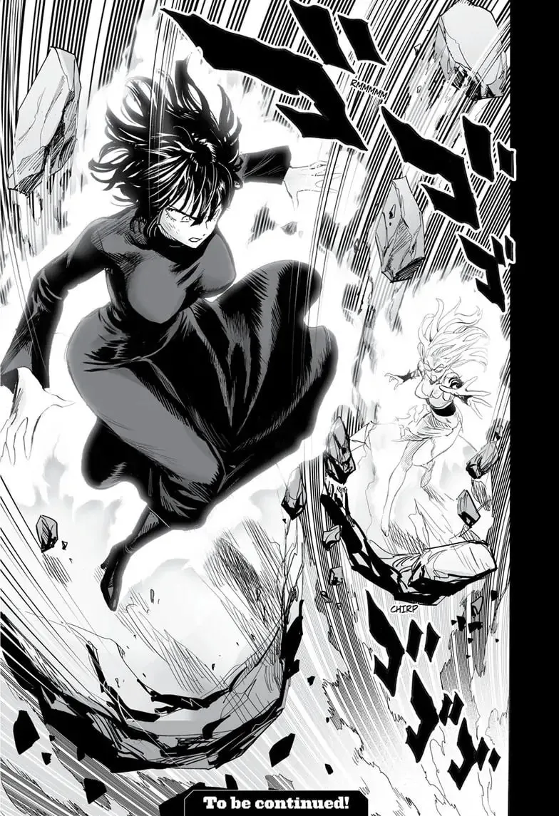One Punch Man, chapter 173, page 30