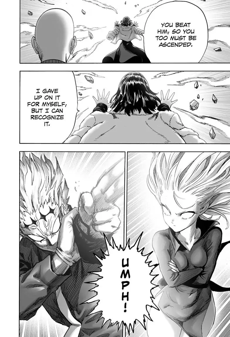 One Punch Man, chapter 174, page 24