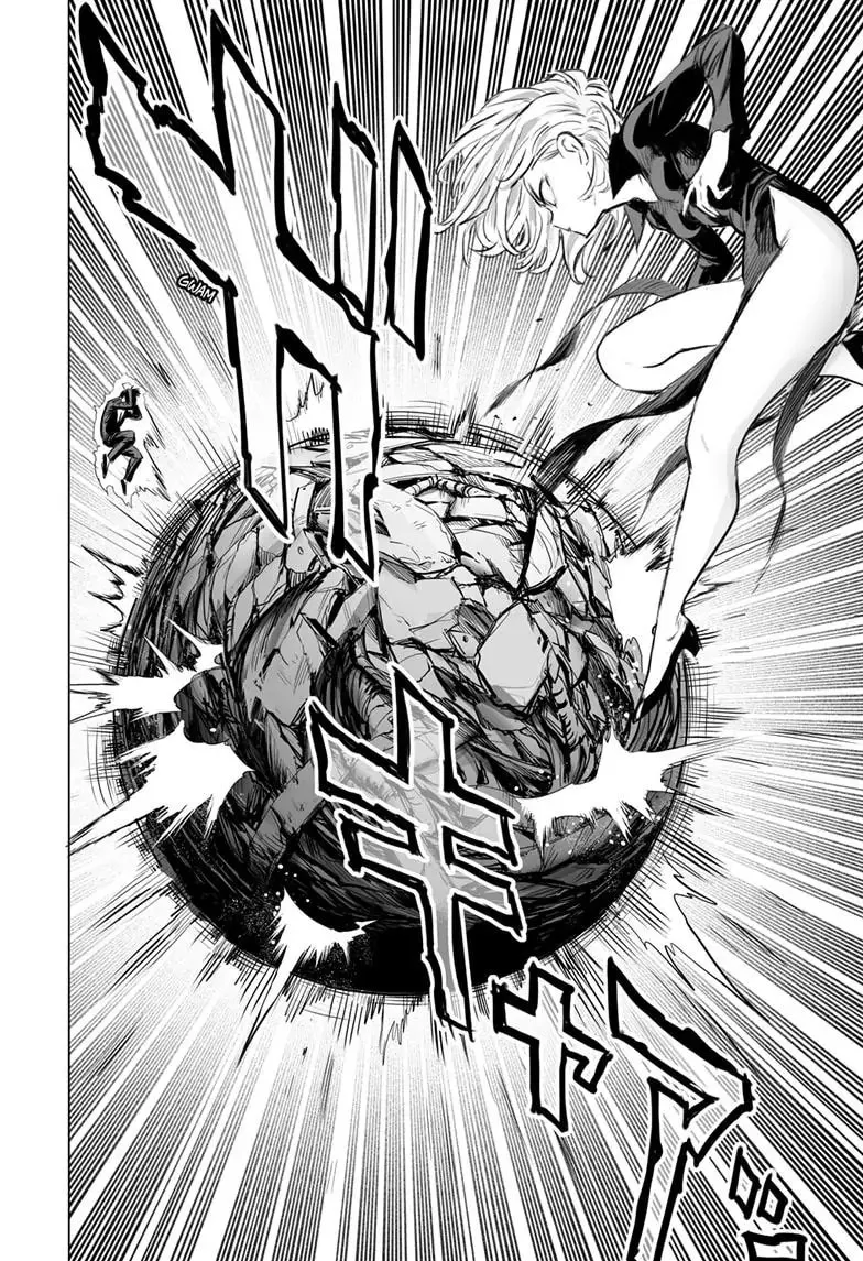 One Punch Man, chapter 175, page 24
