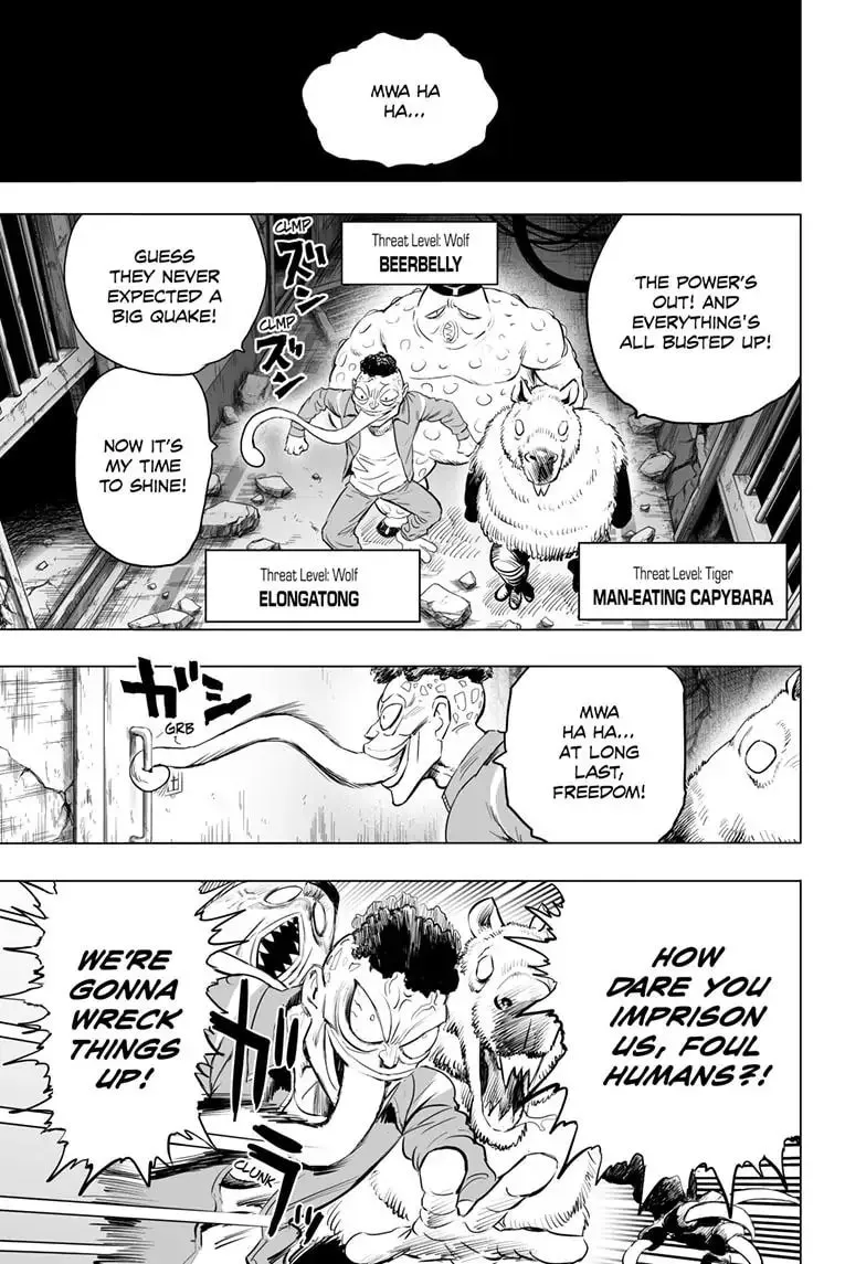 One Punch Man, chapter 176, page 27