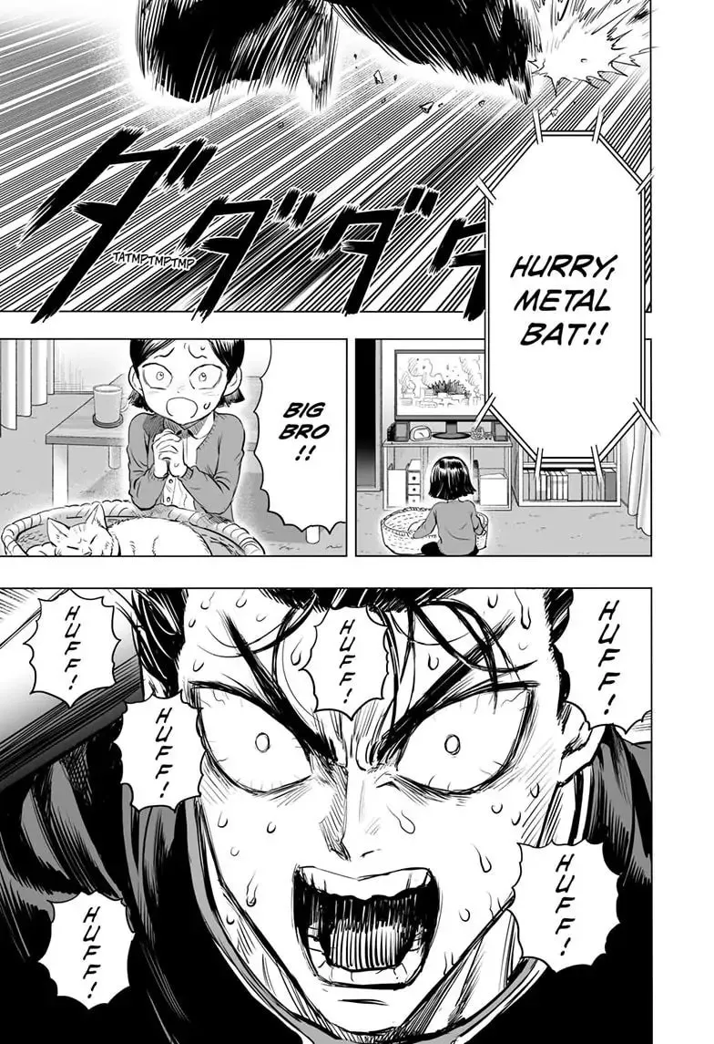 One Punch Man, chapter 178, page 27