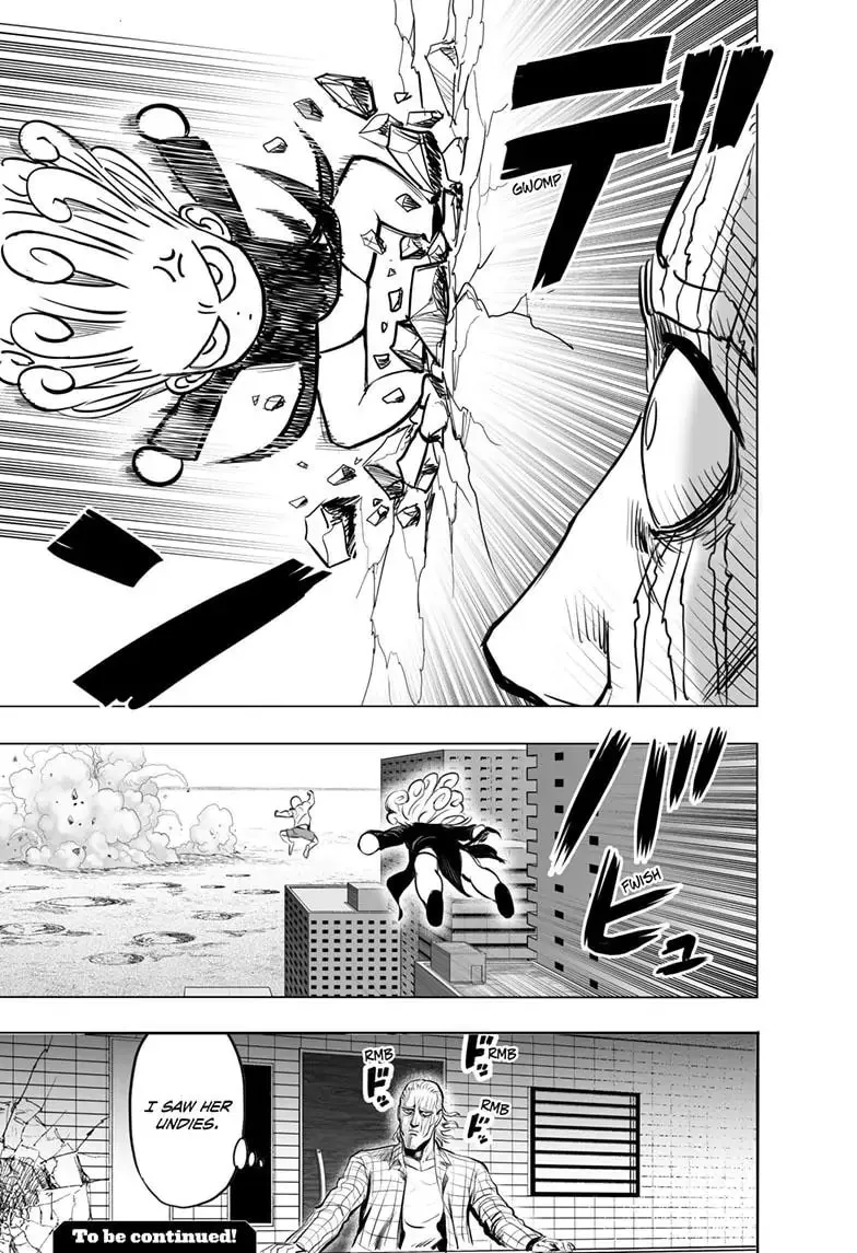 One Punch Man, chapter 179, page 29