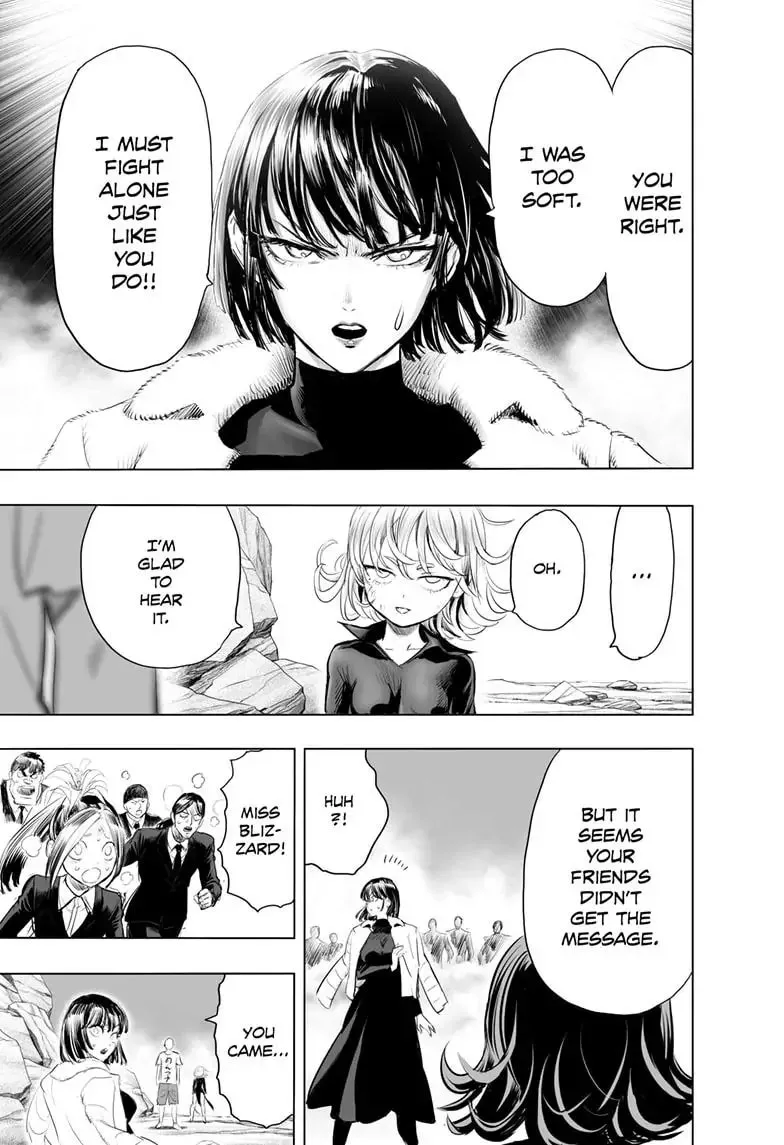 One Punch Man, chapter 180, page 29