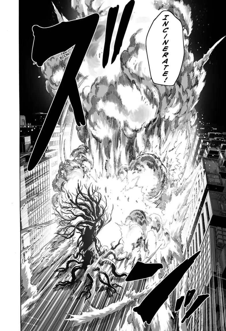 One Punch Man, chapter 183, page 24
