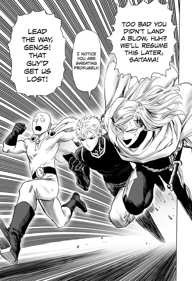 One Punch Man, chapter 192, page 14