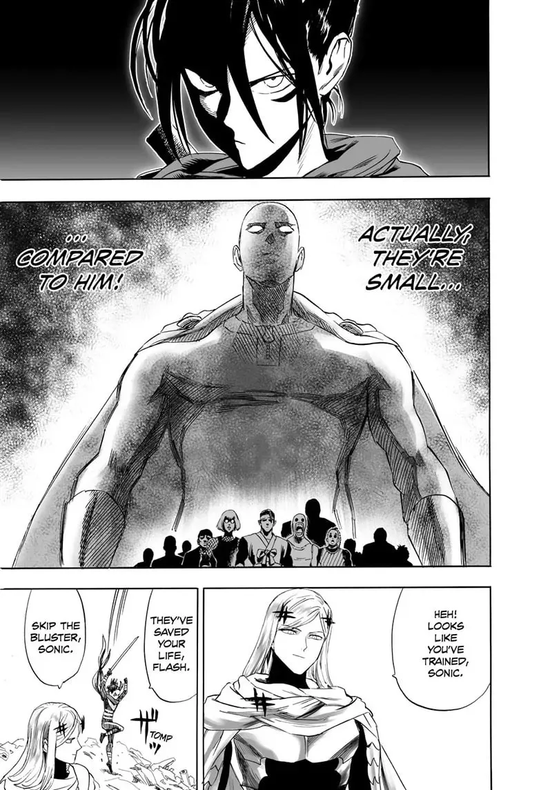 One Punch Man, chapter 195, page 17