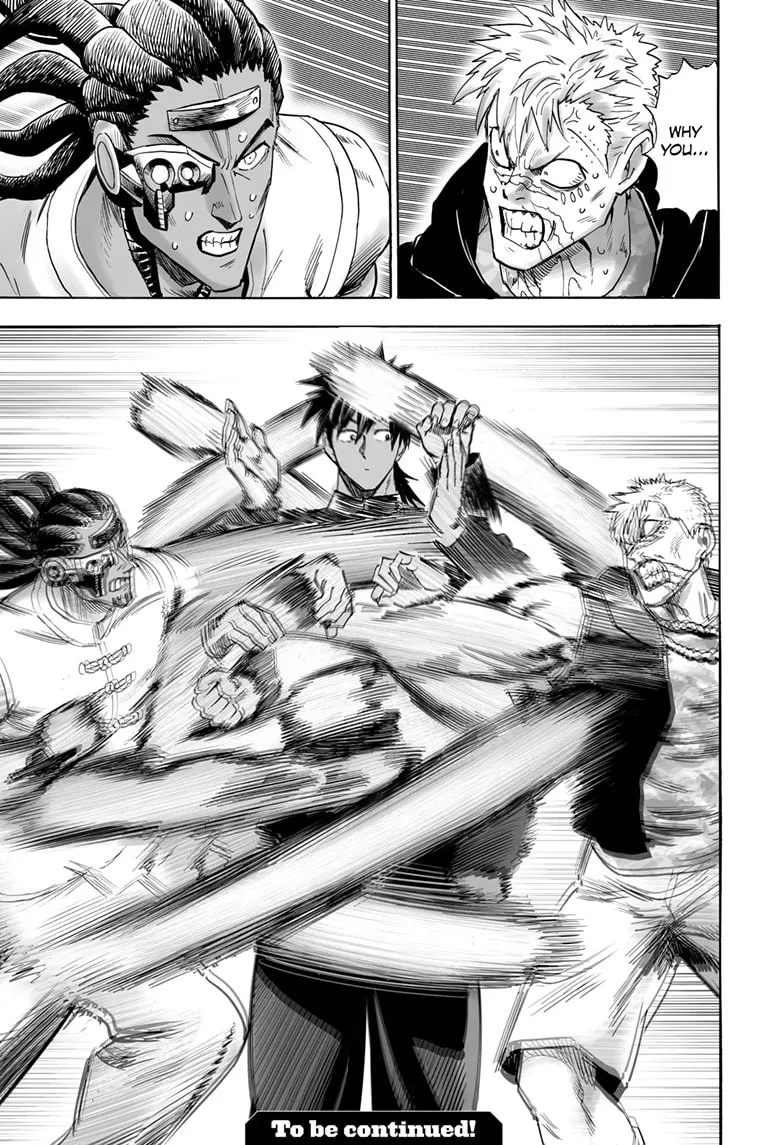 One Punch Man, chapter 202, page 14