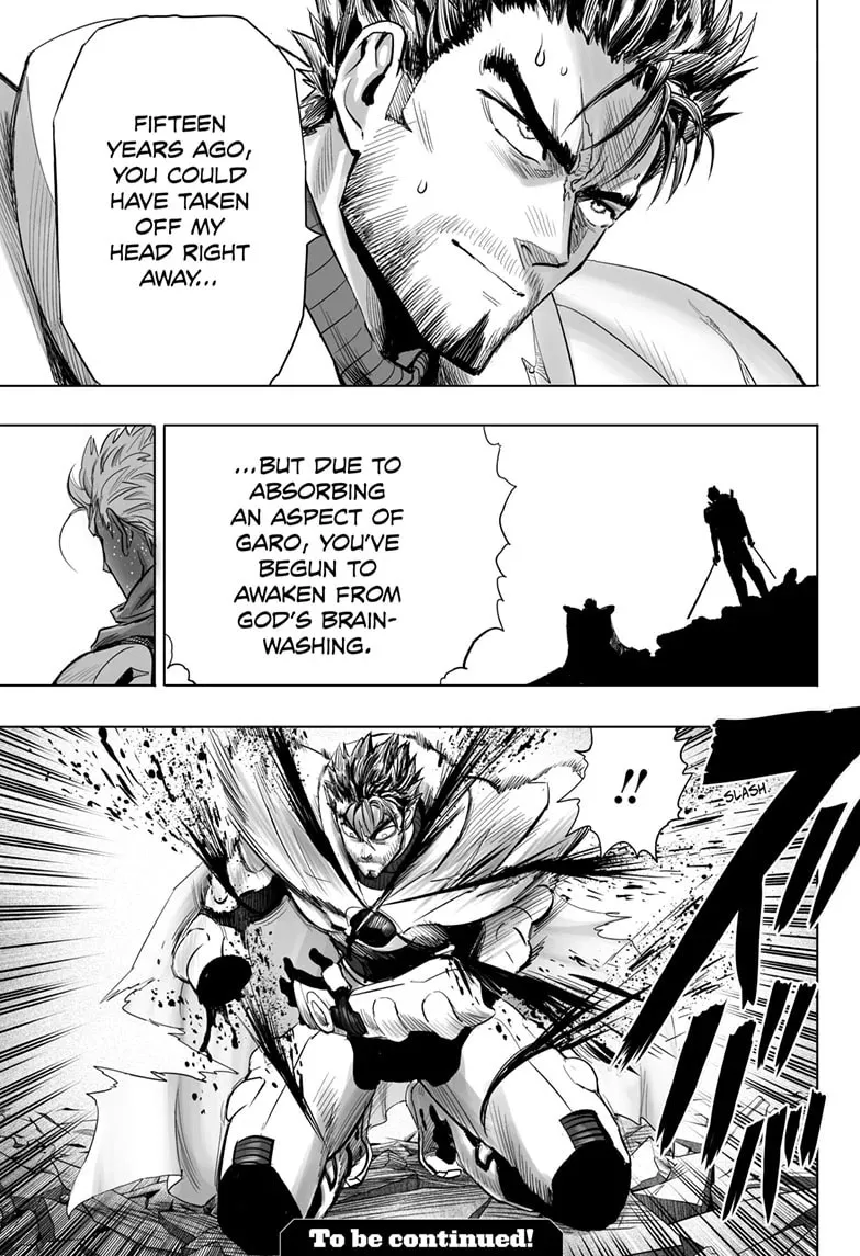 One Punch Man, chapter 206, page 15
