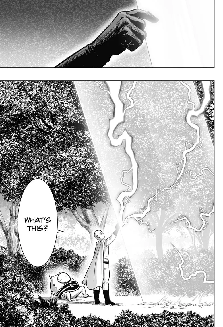 One Punch Man, chapter 207, page 9