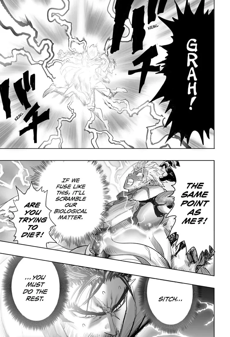 One Punch Man, chapter 207, page 17
