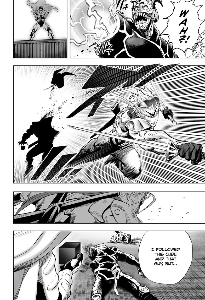 One Punch Man, chapter 208, page 4