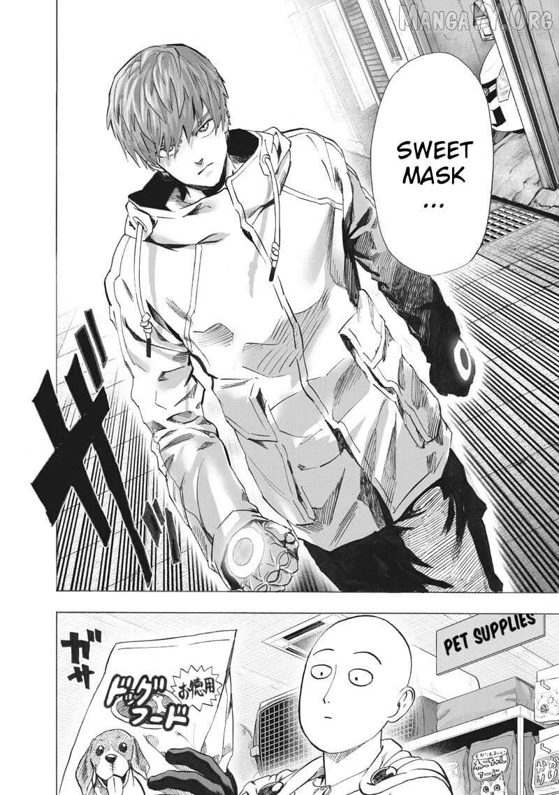 One Punch Man, chapter 219, page 14