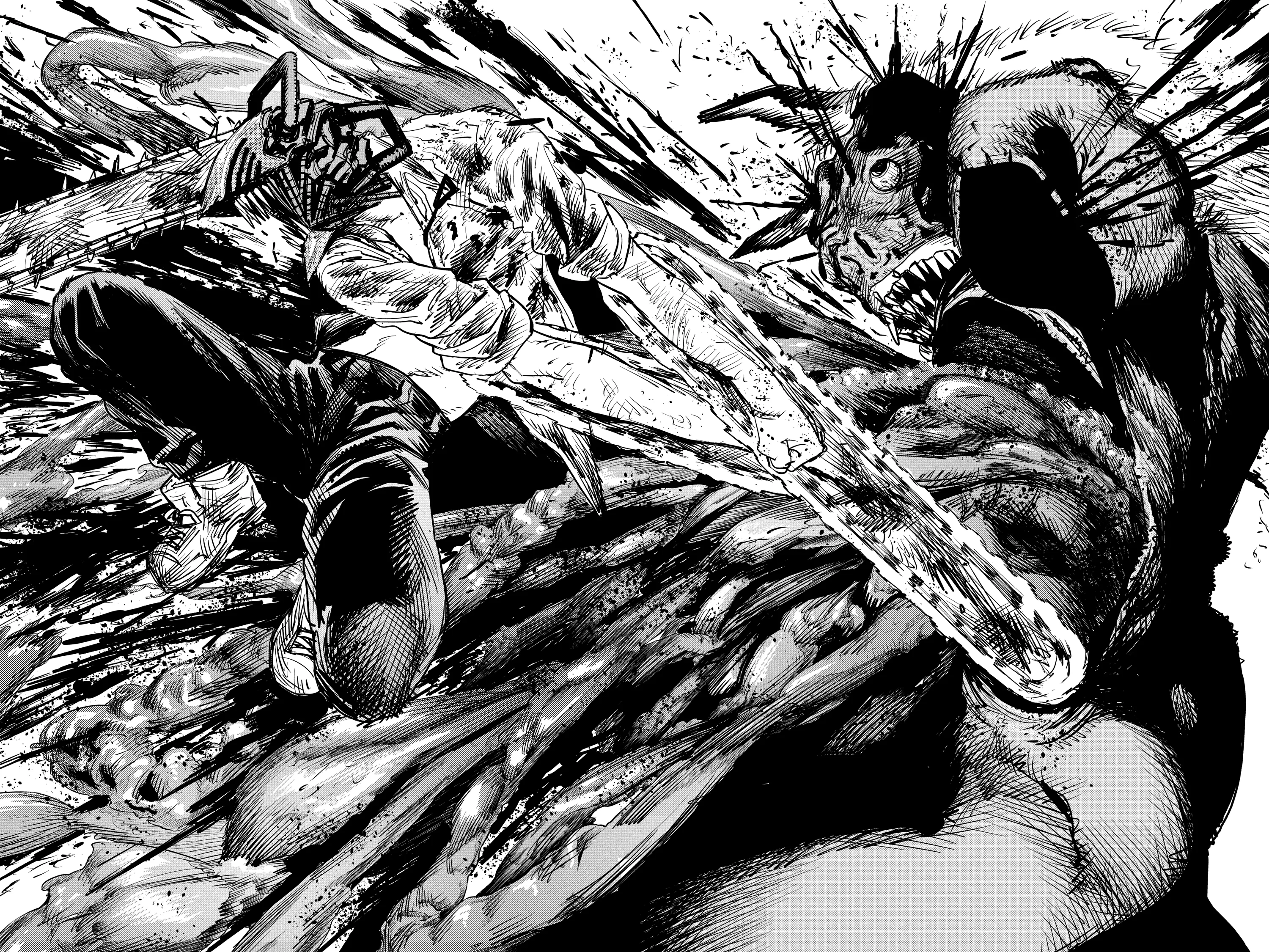 Chainsaw Man Manga, chapter Vol 2, page 24