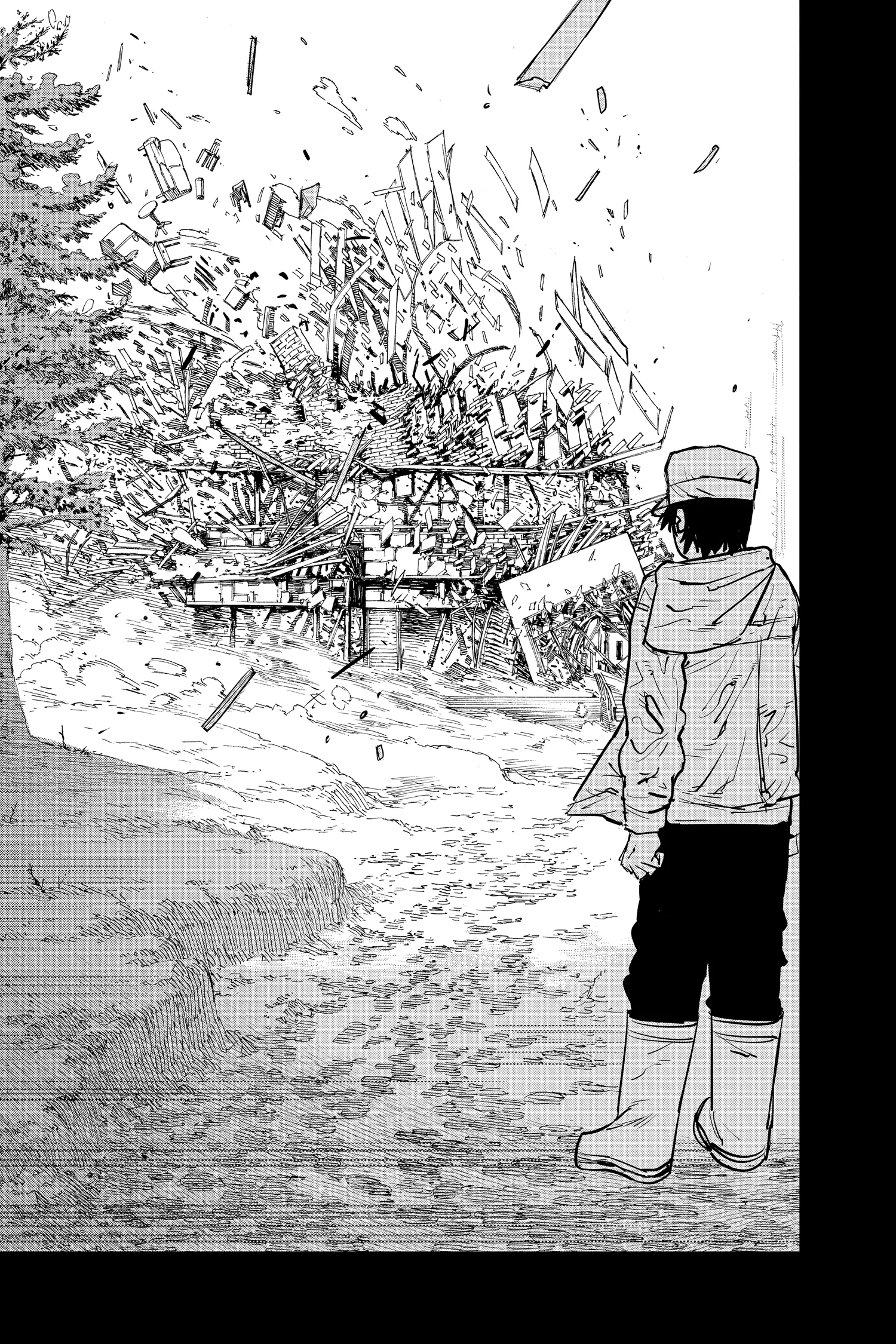 Chainsaw Man Manga, chapter Vol 2, page 113