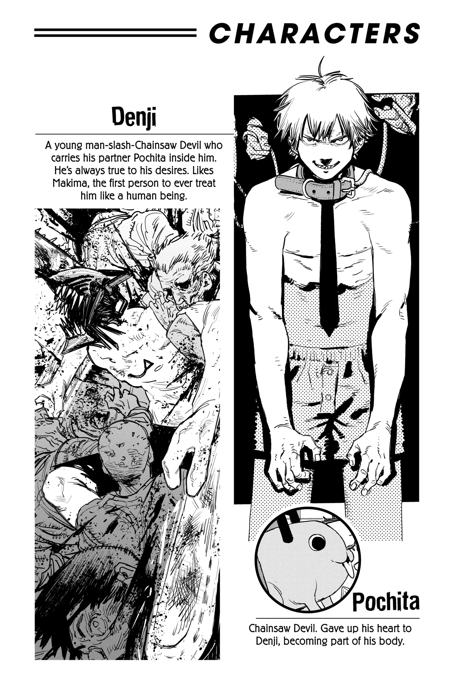 Chainsaw Man Manga, chapter Vol 3, page 5