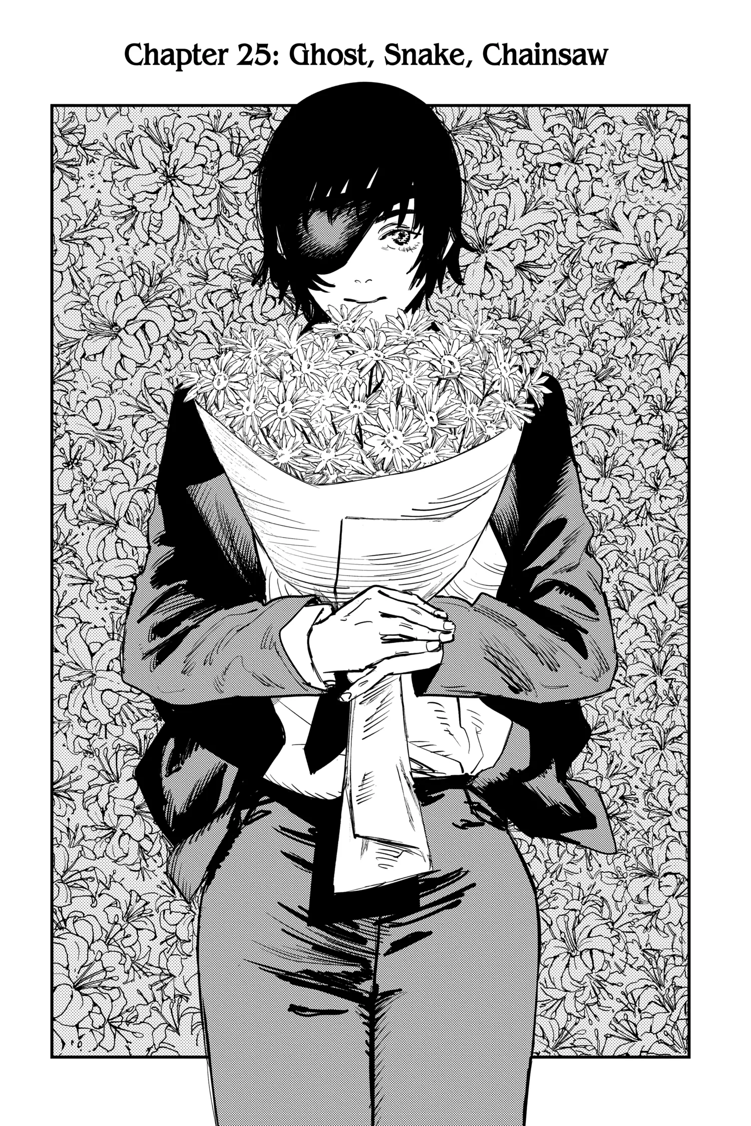 Chainsaw Man Manga, chapter Vol 3, page 164