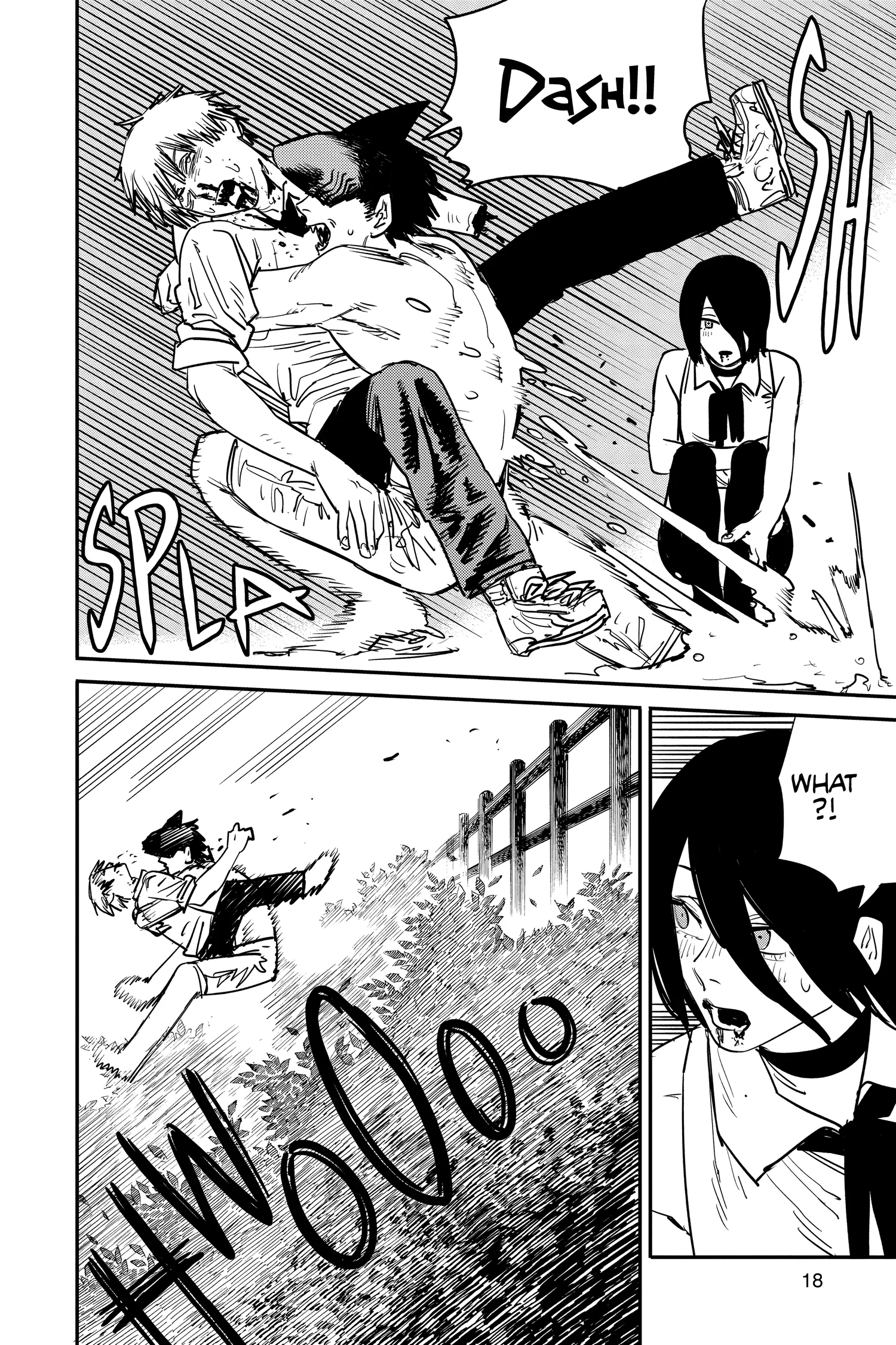 Chainsaw Man Manga, chapter Vol 6, page 18