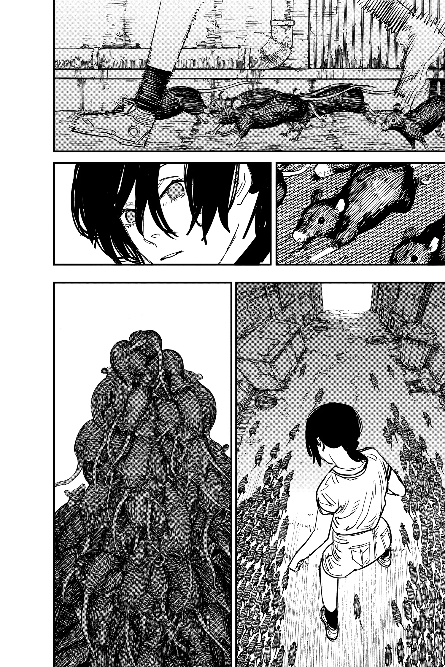 Chainsaw Man Manga, chapter Vol 6, page 172