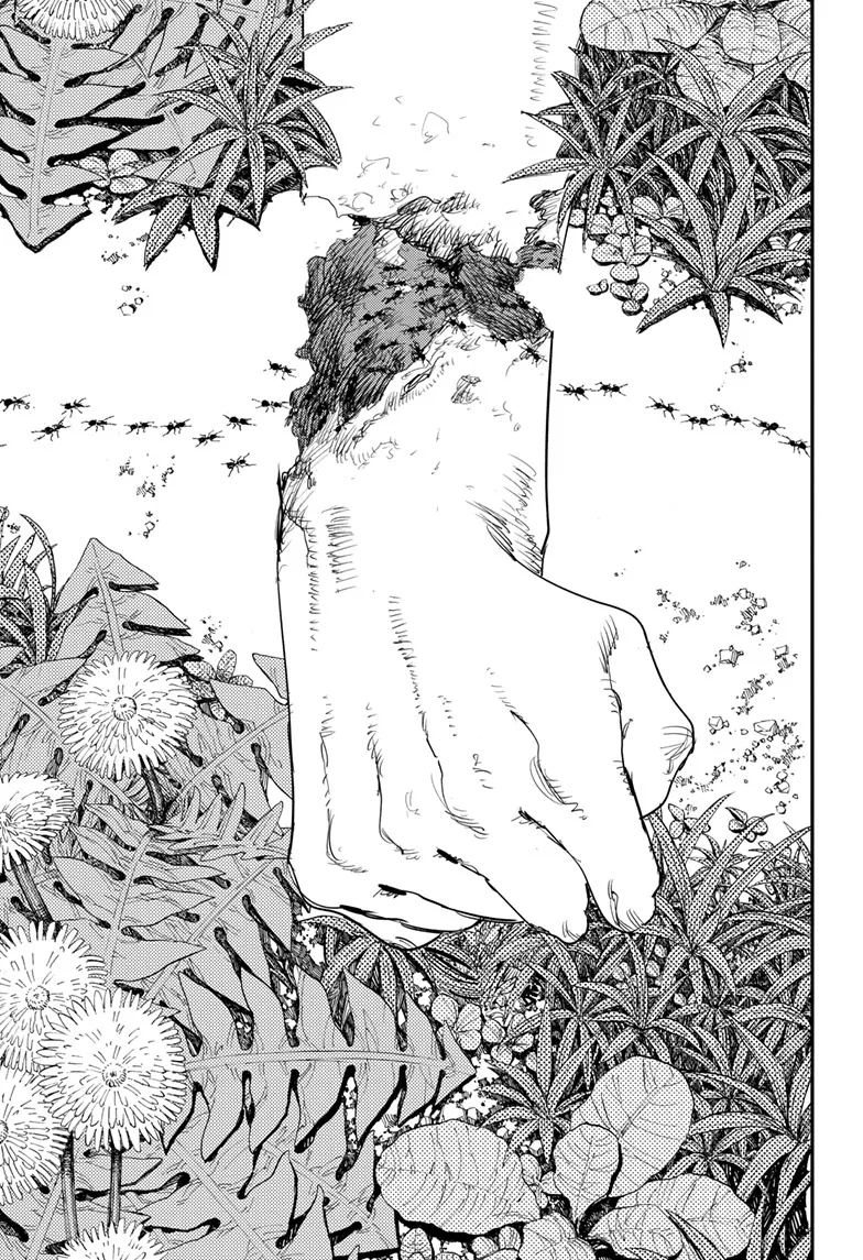 Chainsaw Man Manga, chapter 63, page 17