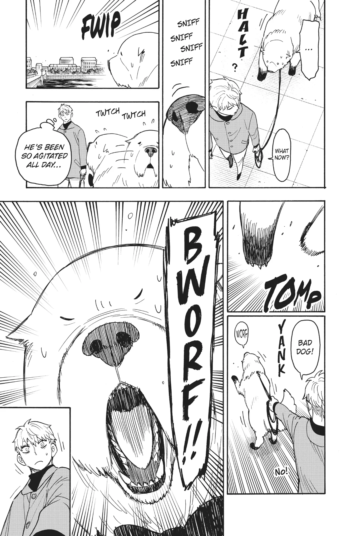 SPY x FAMILY Manga, chapter Vol 9, page 104