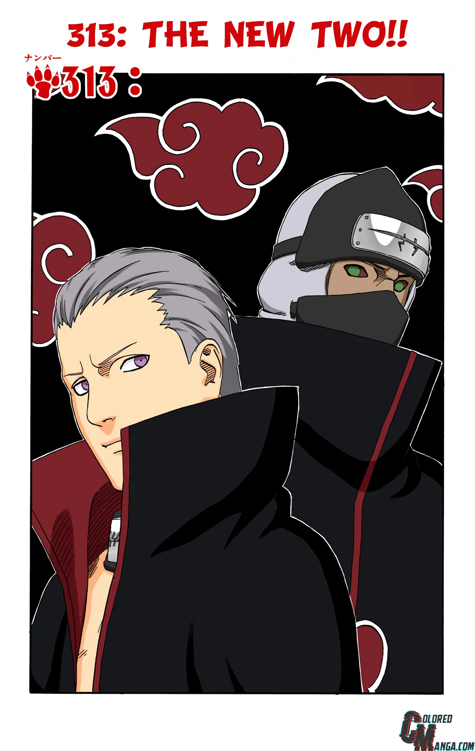 Naruto Colored Manga Online, chapter 313, page 1