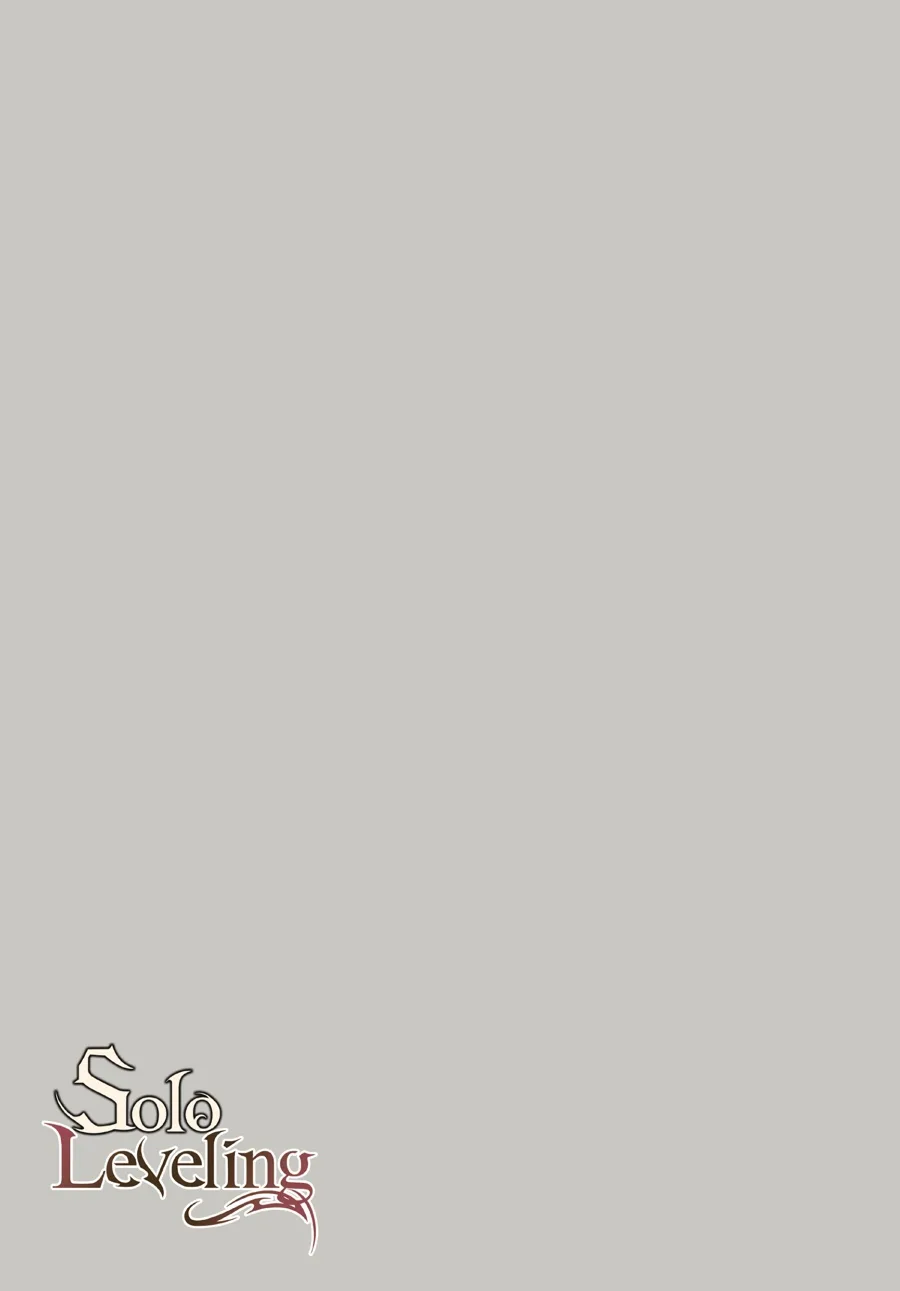Solo Leveling, chapter Vol 12, page 210