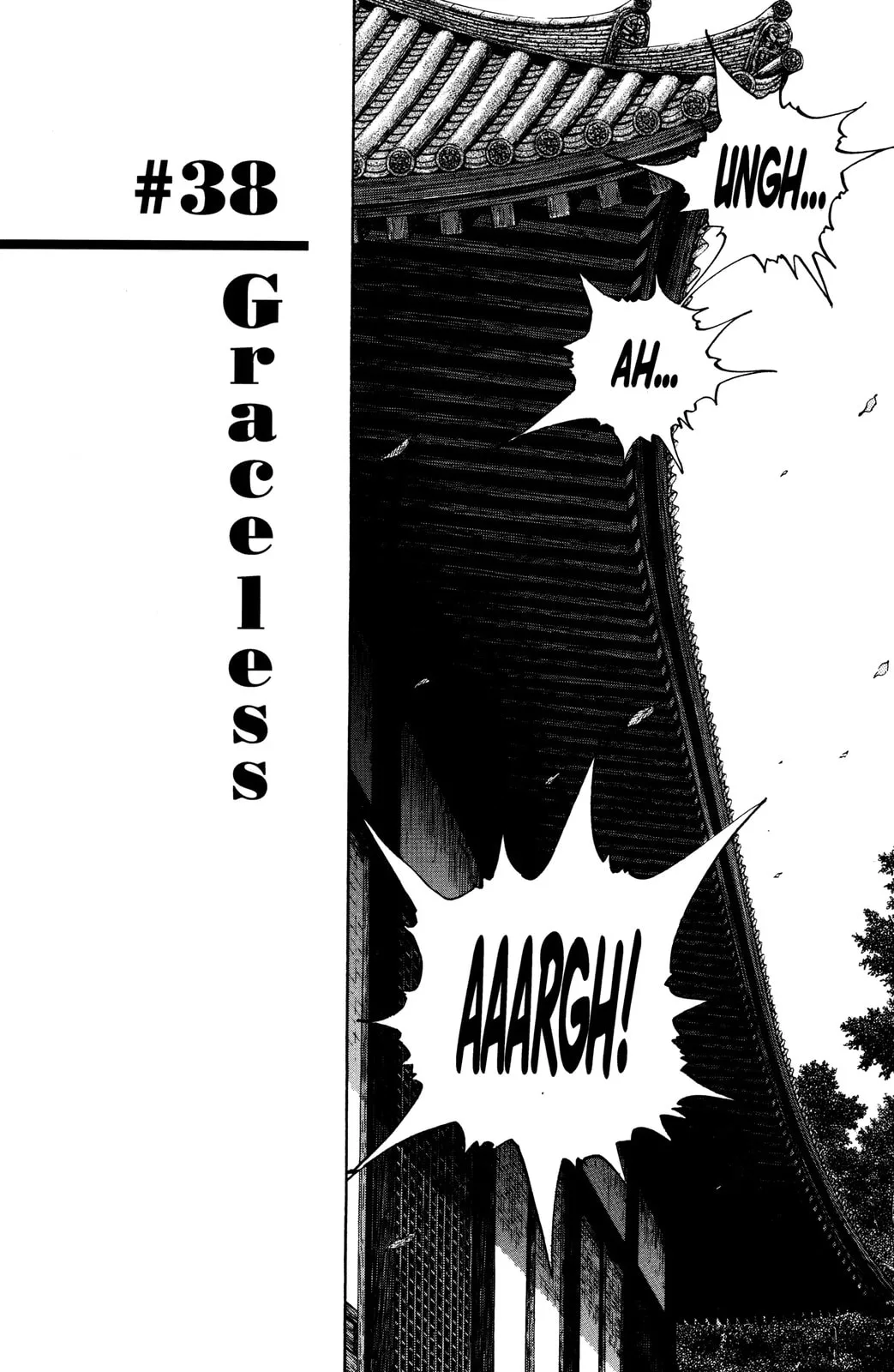 Vagabond Manga, chapter 38, page 2