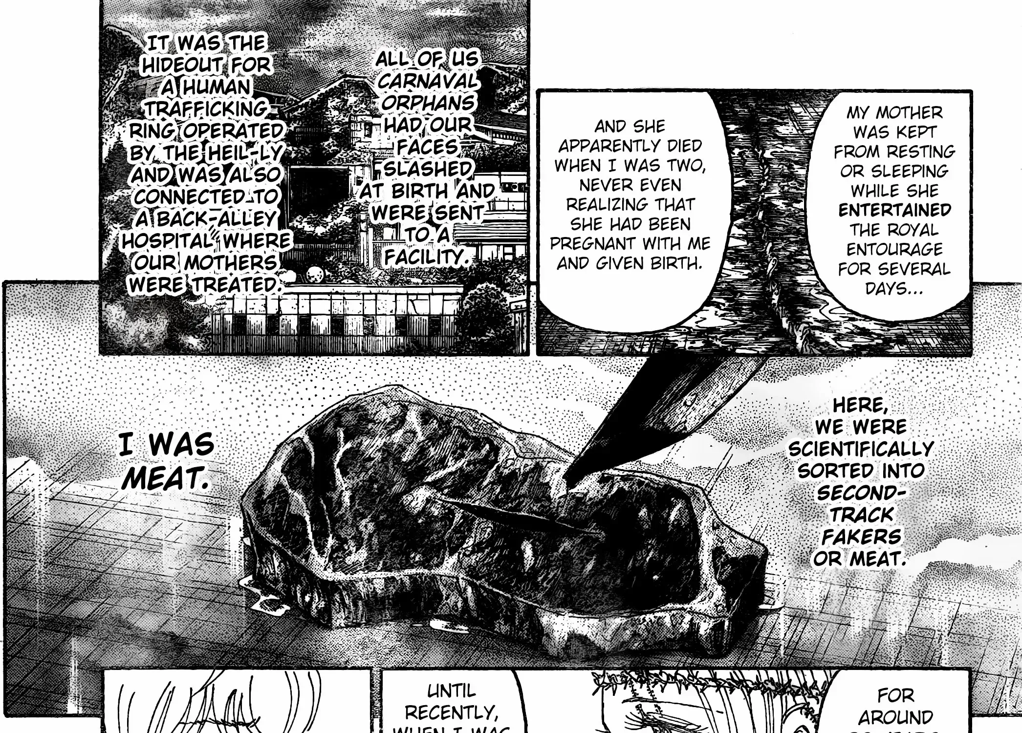 Hunter x Hunter Colored Manga, chapter 408, page 10