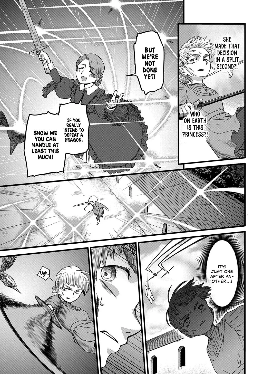 Ryuubatsu no Fiera, chapter 2, page 27