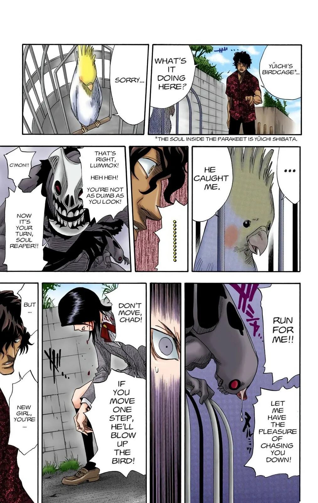 Bleach Colored Manga, chapter 10, page 13