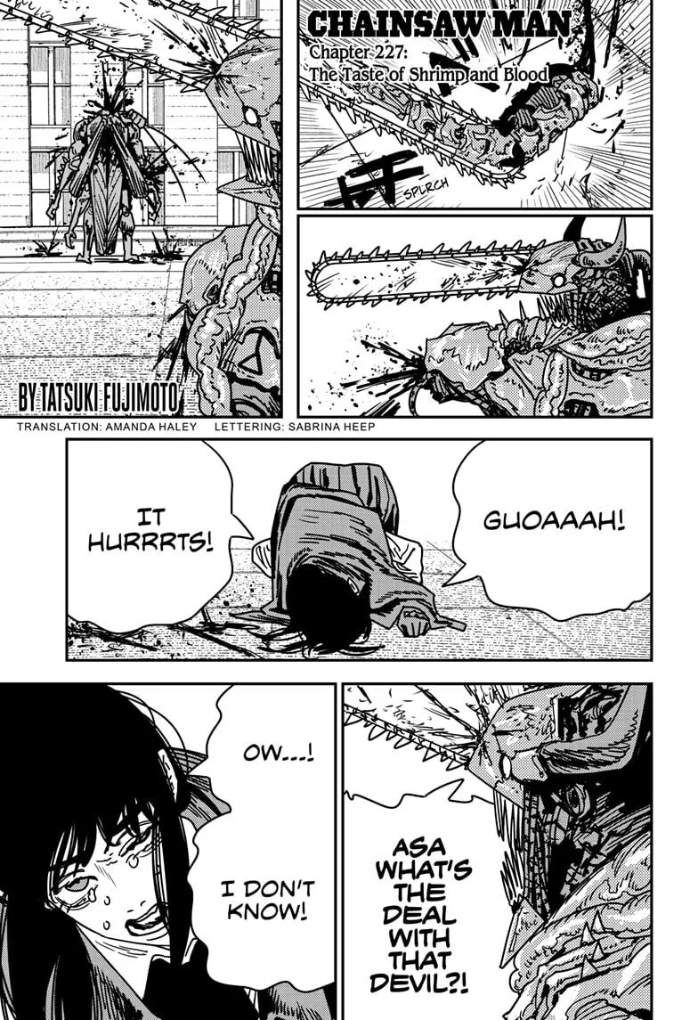 Chainsaw Man Manga, chapter 227, page 1