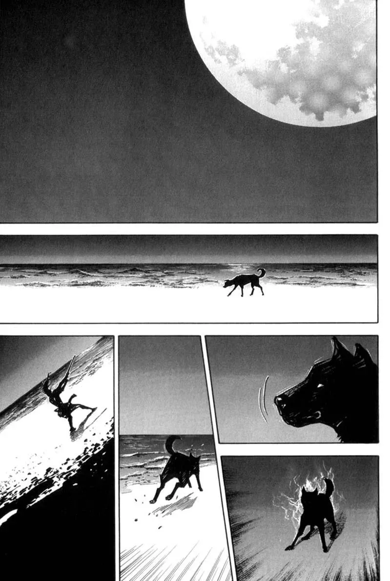 Vagabond Manga, chapter 145, page 19