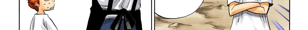 Bleach Colored Manga, chapter 65, page 28