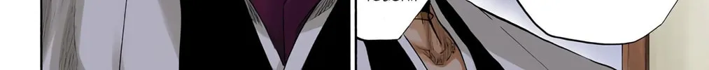 Bleach Colored Manga, chapter 93, page 24