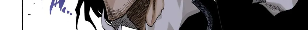 Bleach Colored Manga, chapter 110, page 28