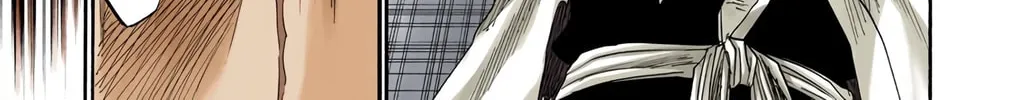 Bleach Colored Manga, chapter 114, page 22