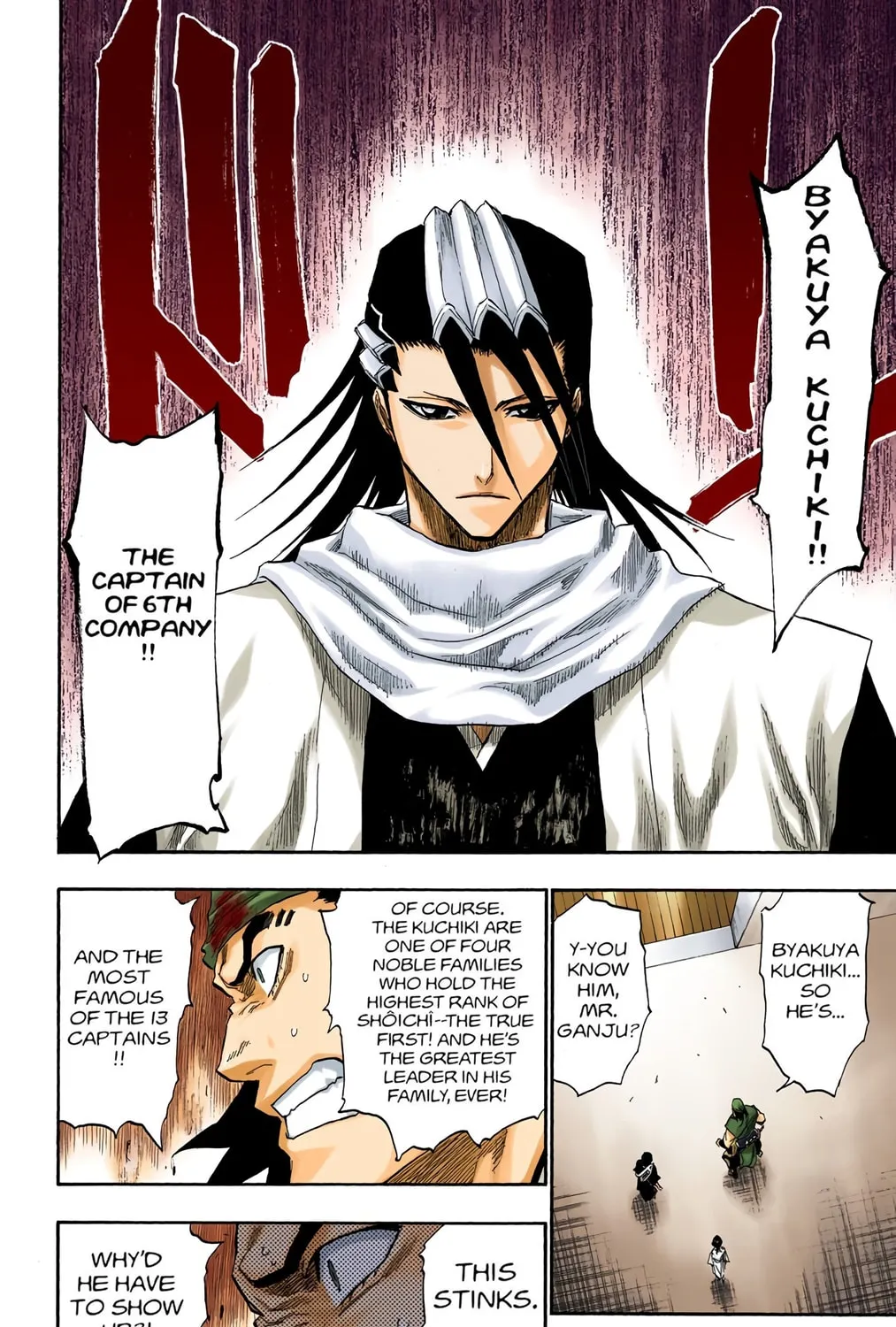 Bleach Colored Manga, chapter 116, page 9