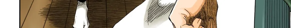 Bleach Colored Manga, chapter 130, page 36