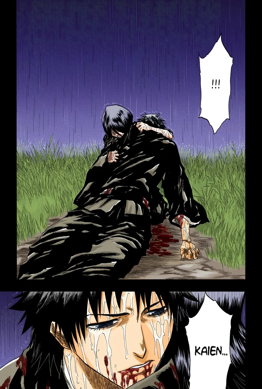 Bleach Colored Manga, chapter 133, page 41