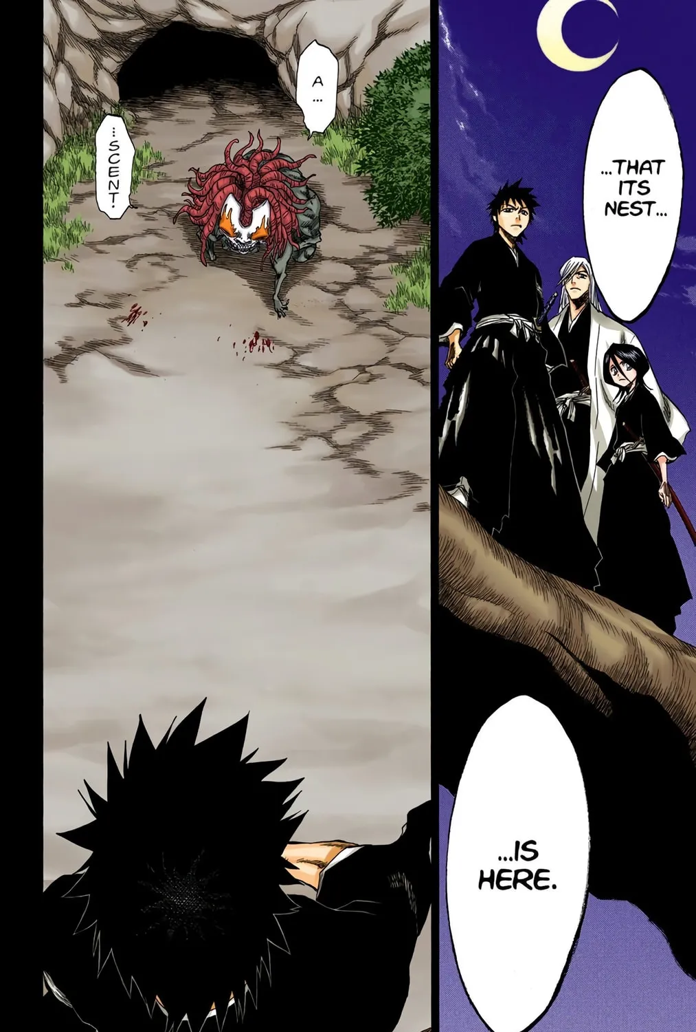 Bleach Colored Manga, chapter 134, page 35