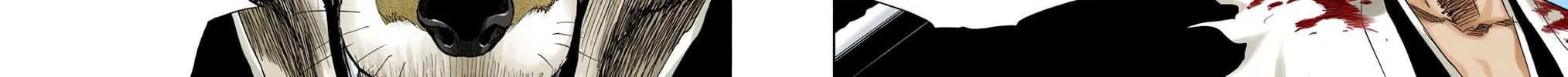 Bleach Colored Manga, chapter 148, page 36