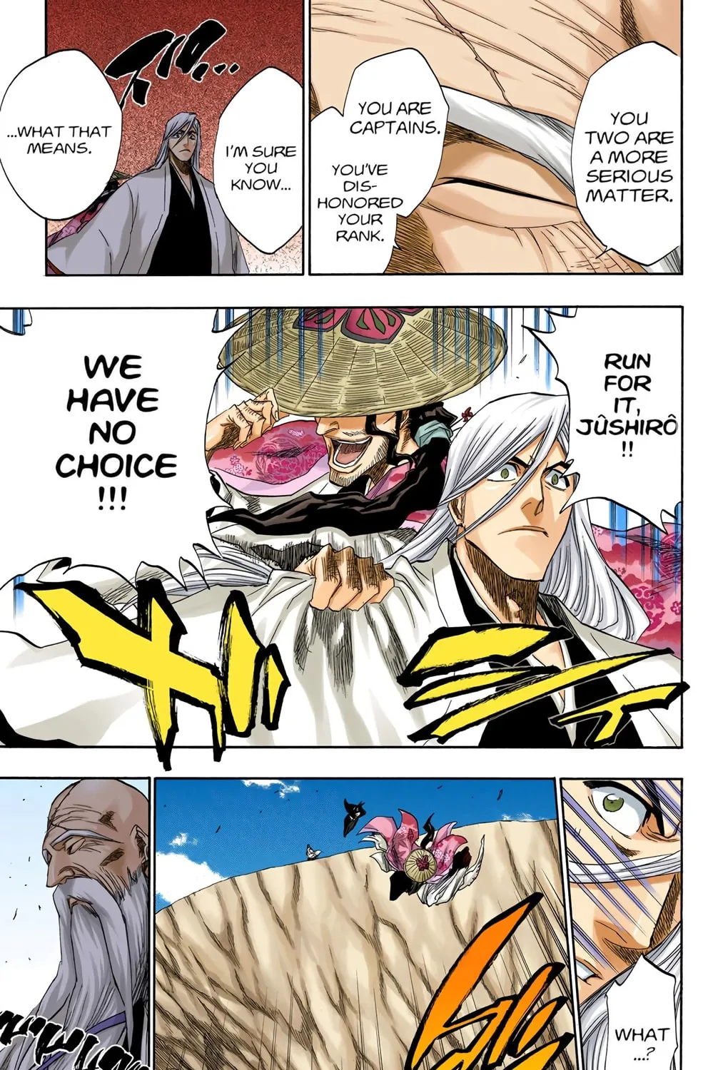 Bleach Colored Manga, chapter 153, page 25
