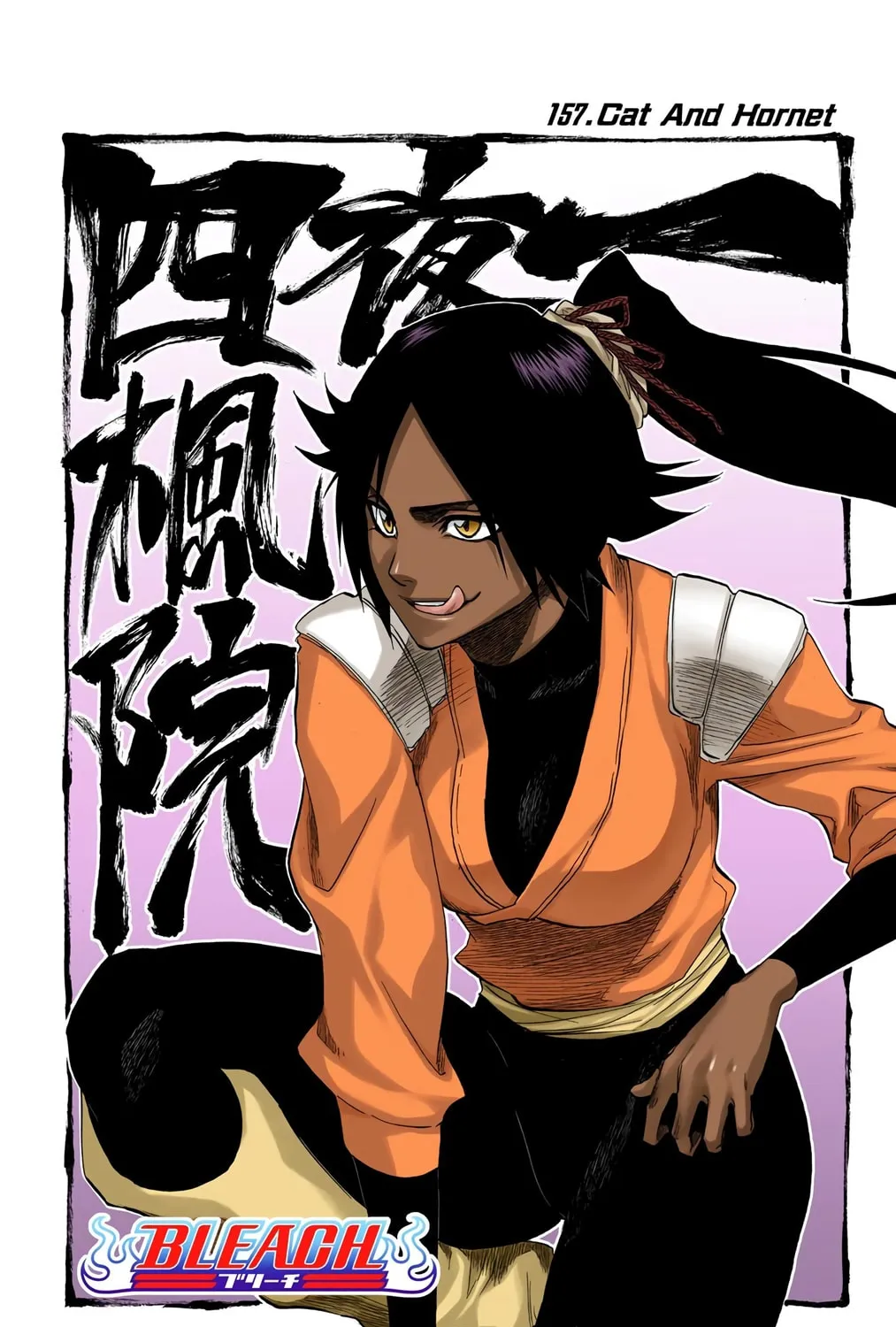 Bleach Colored Manga, chapter 157, page 11