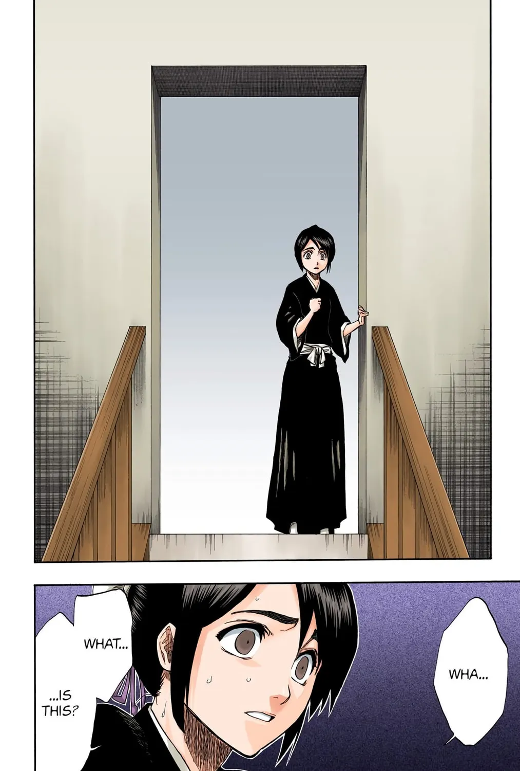 Bleach Colored Manga, chapter 168, page 29