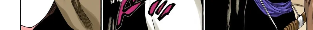 Bleach Colored Manga, chapter 177, page 34