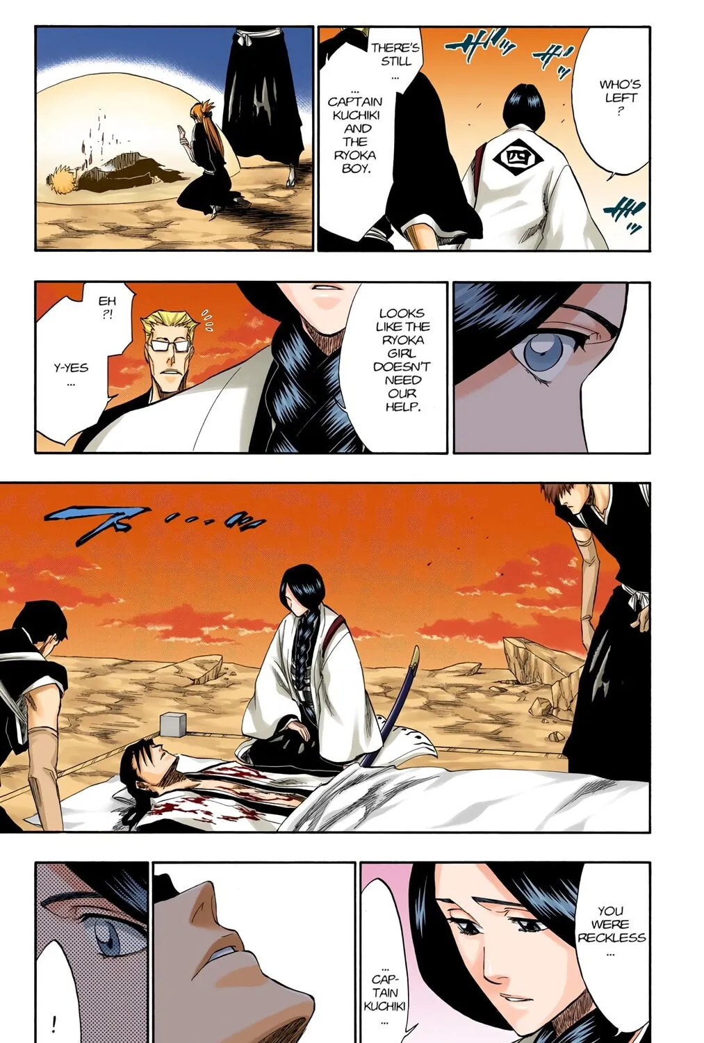 Bleach Colored Manga, chapter 179, page 13