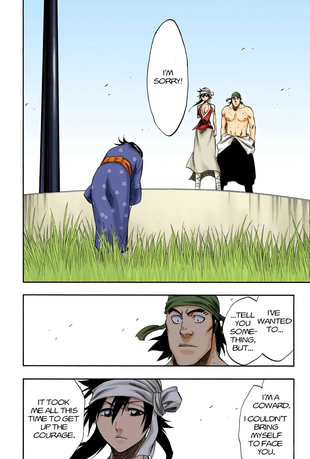 Bleach Colored Manga, chapter 181, page 19