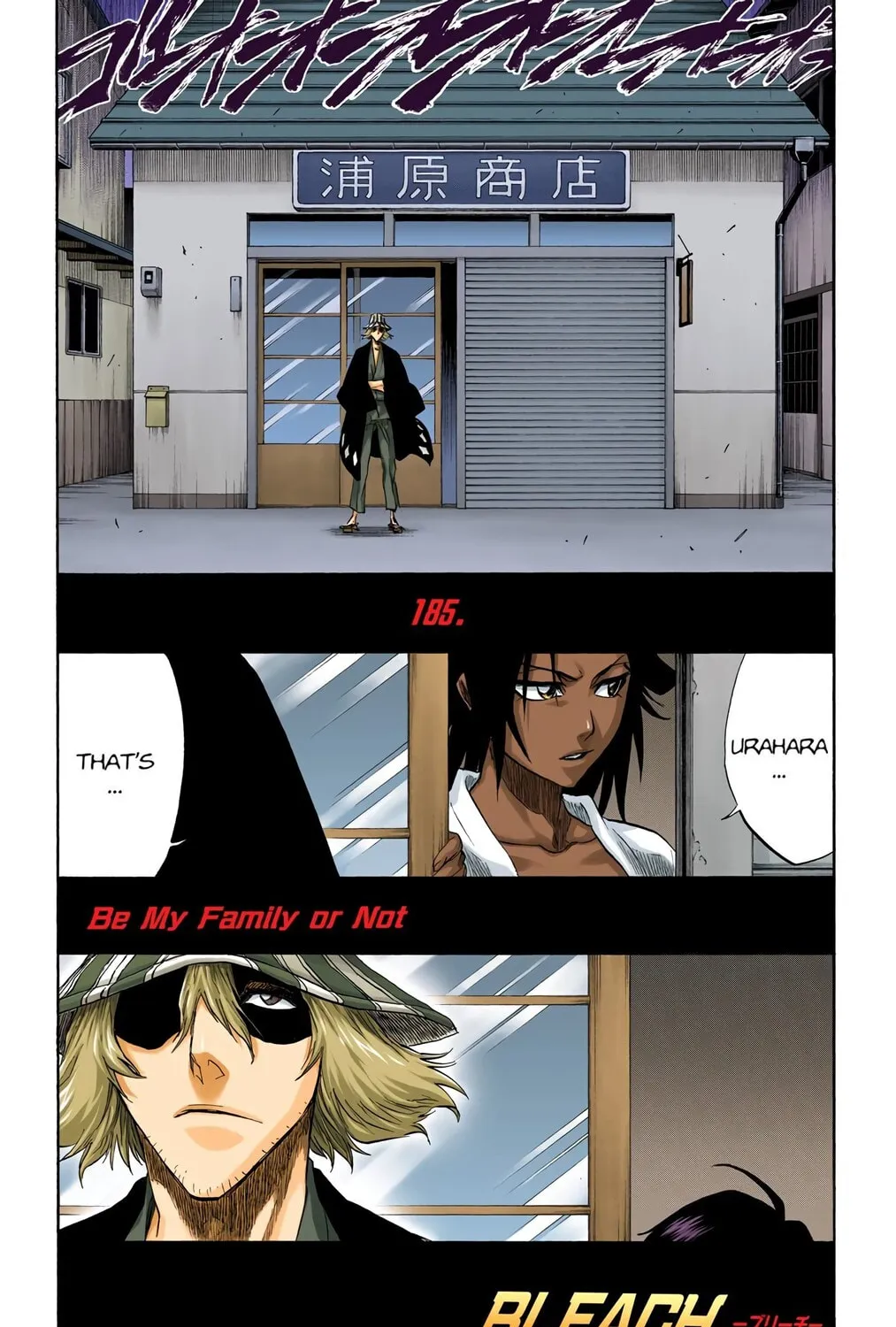 Bleach Colored Manga, chapter 185, page 9